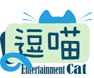 逗猫